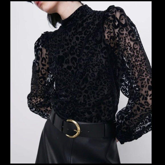 Semi sheer leopard print Zara top - Picture 1 of 4